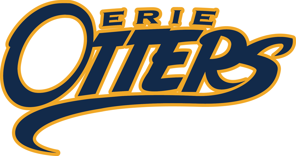 Erie Otters 2014-2016 Alternate Logo iron on heat transfer